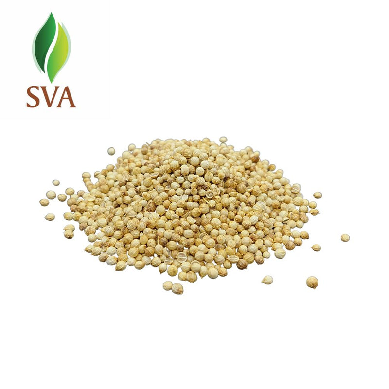 SVA Coriander Seed Essential Oil