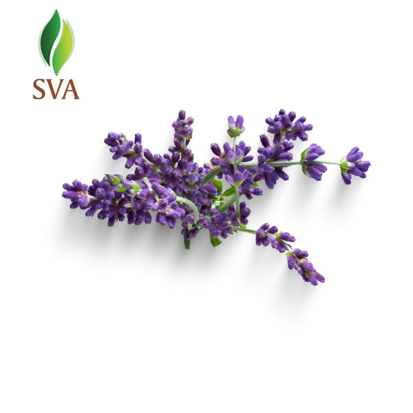 SVA Lavender Essential Oil