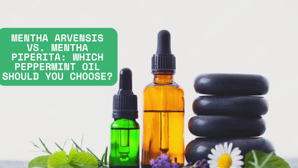 Mentha Arvensis vs. Mentha Piperita: Which Peppermint Oil Should You Choose?