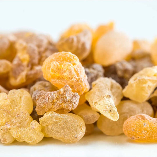 Frankincense Serrata Essential Oil, Organic