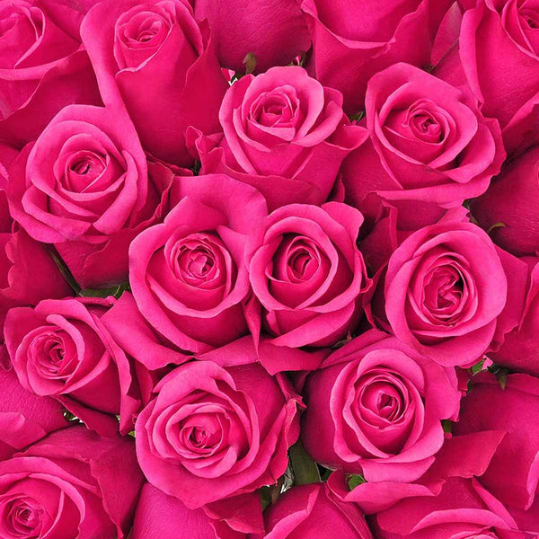 SVA Rose Water Organic