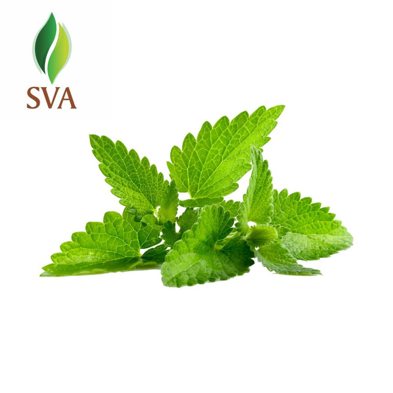 SVA Bergamot Mint Essential Oil