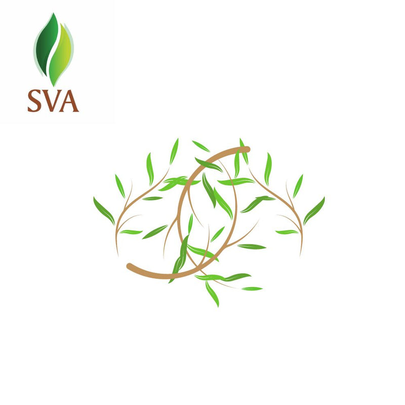 SVA Cajeput Essential Oil