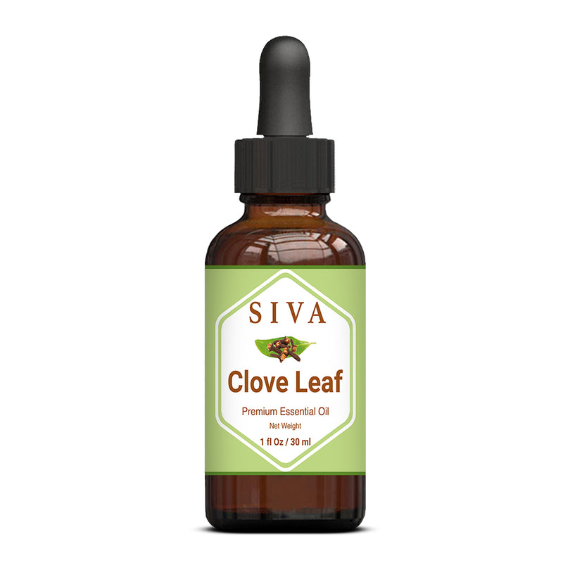 SIVA Clove Leaf Essential Oil