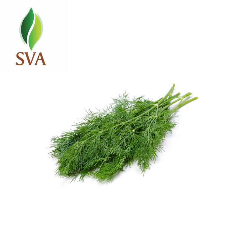 SVA Dill Essential Oil