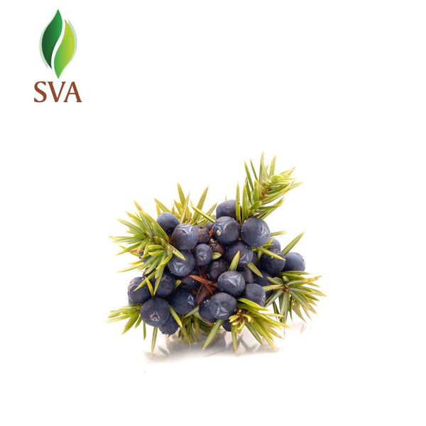 SVA Juniper Berry Essential Oil