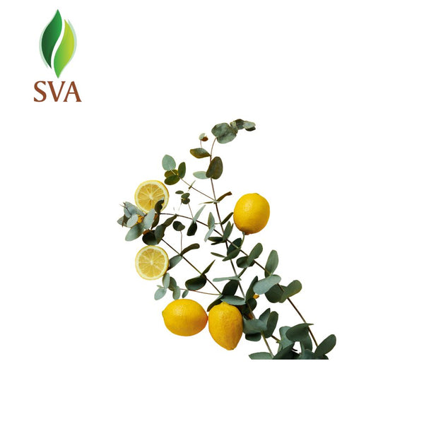 SVA Lemon Eucalyptus Essential Oil