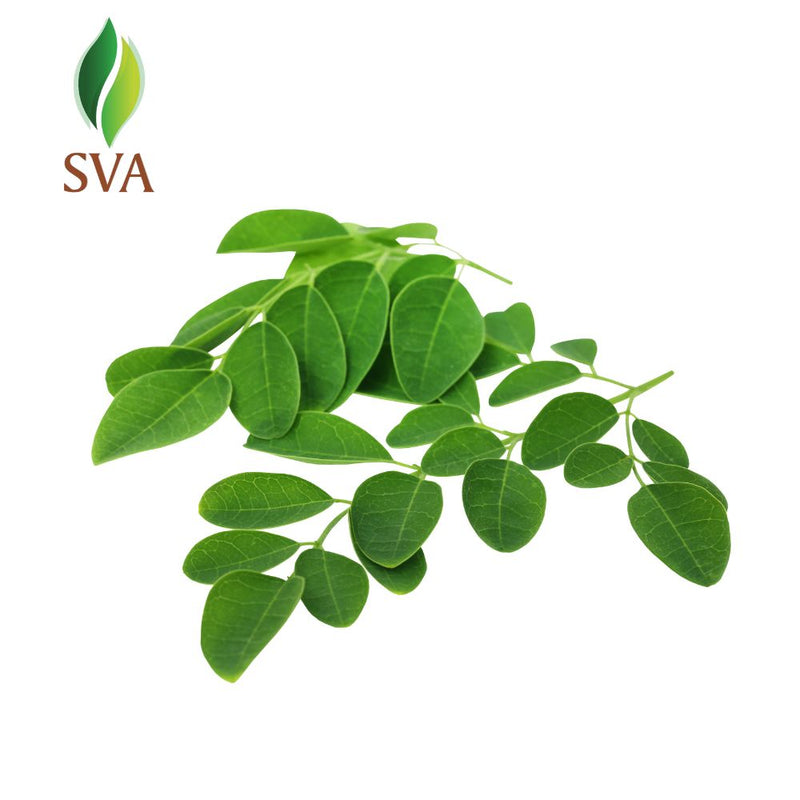 SVA Moringa Carrier Oil CERTIFIED ORGANIC