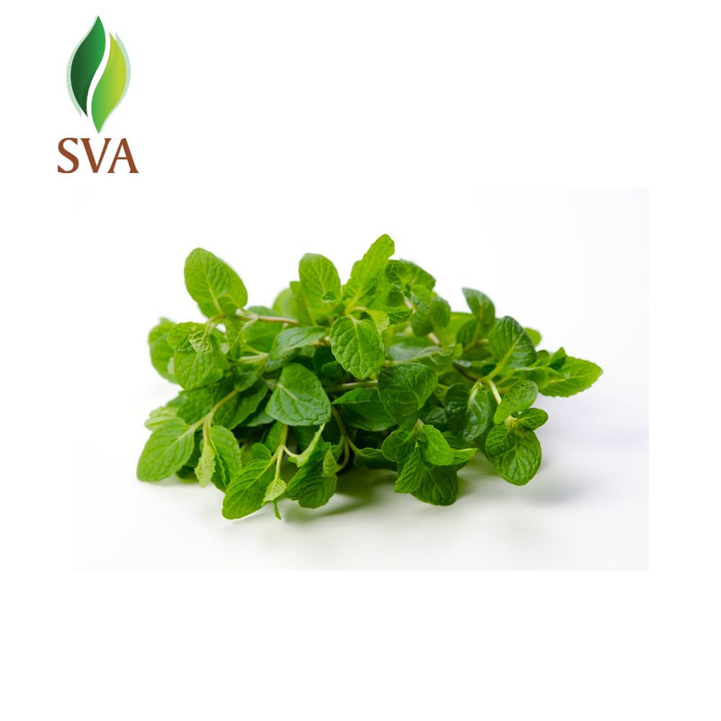 SVA Spearmint Essential Oil