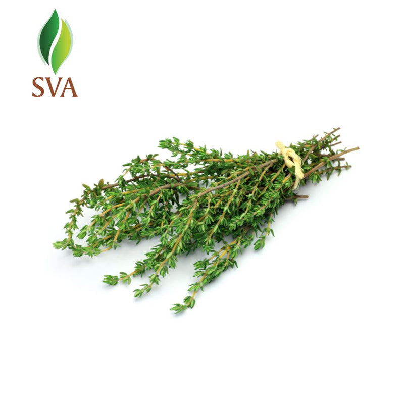 SVA Thyme Essential Oil